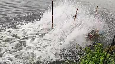 水泵喷水增氧鱼塘雨天拍摄视频的预览图